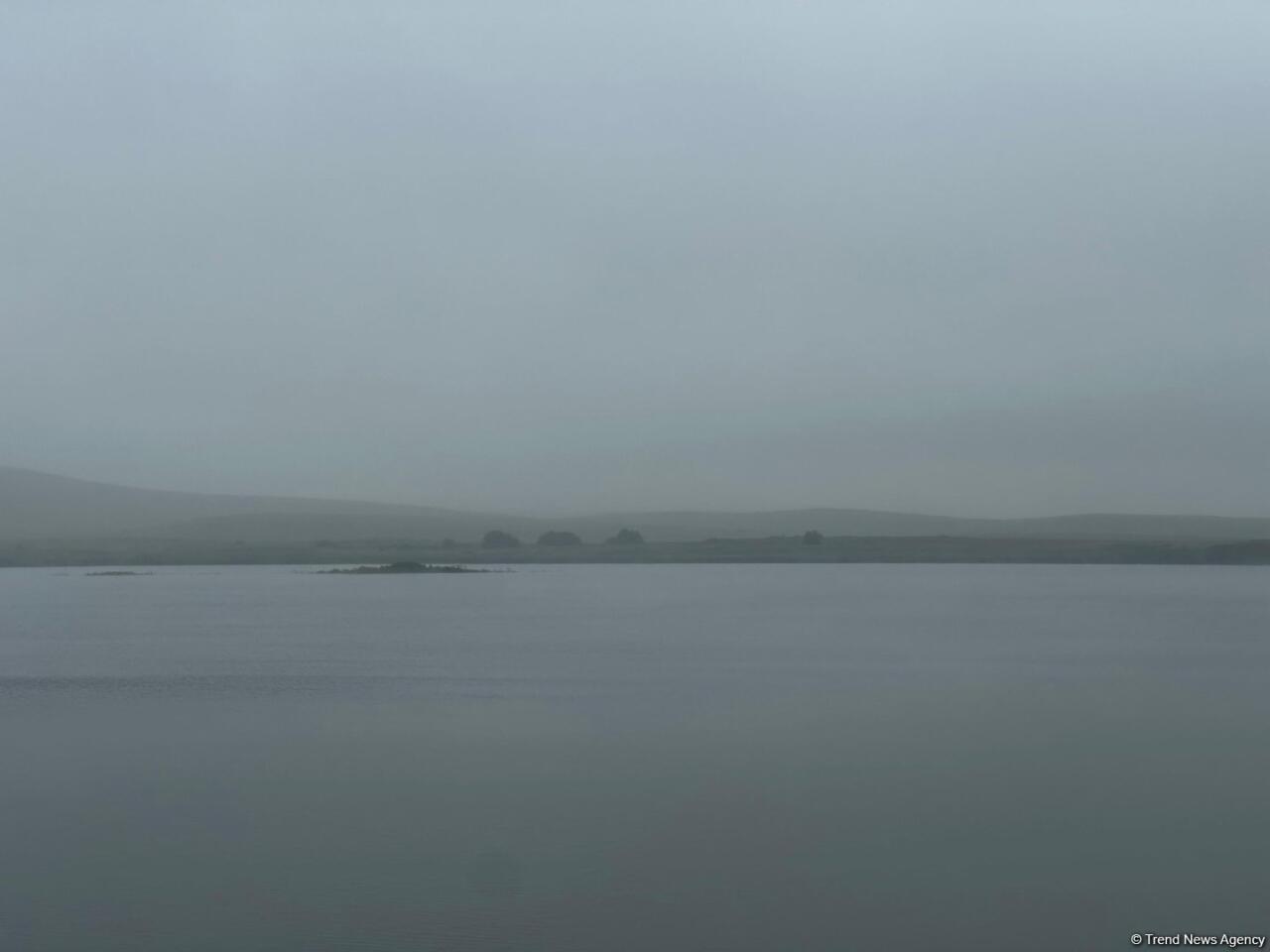 Стало известно, какую площадь будет обеспечивать водой комплекс водохранилищ Кенделенчай