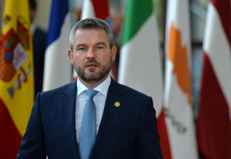 Новоизбранный президент Словакии прервал зарубежный визит в связи с покушением на премьер-министра страны