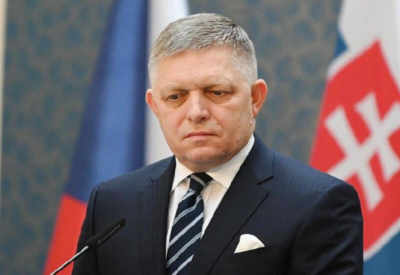Президент Словакии подтвердила задержание совершившего покушение на Фицо