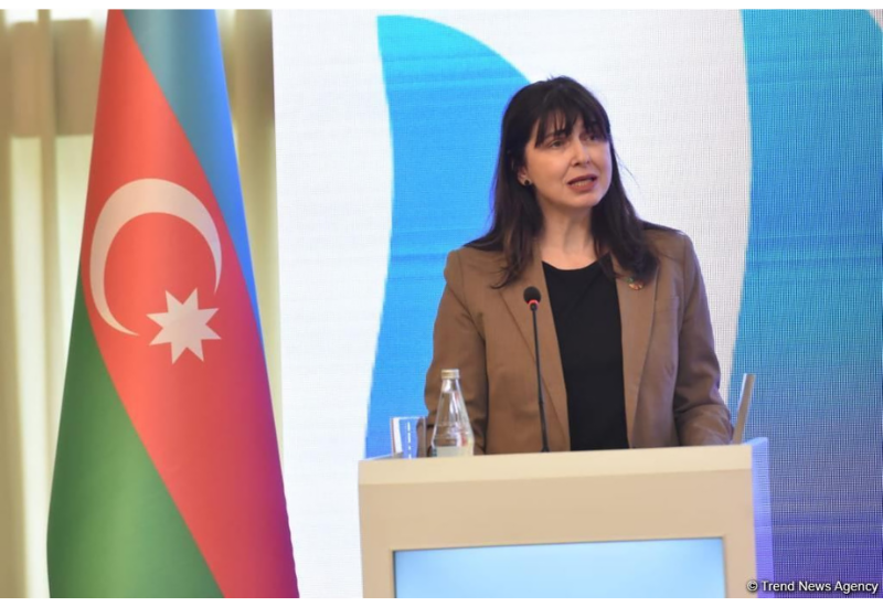 ООН активно поддерживает председательство Азербайджана на COP29