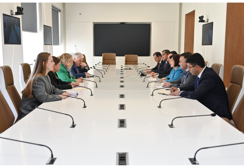 Сахиба Гафарова встретилась с генеральным директором отделения ООН в Женеве