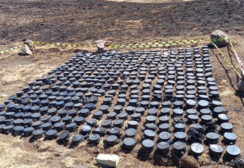 Более 250 гектаров освобожденных территорий очищено от мин