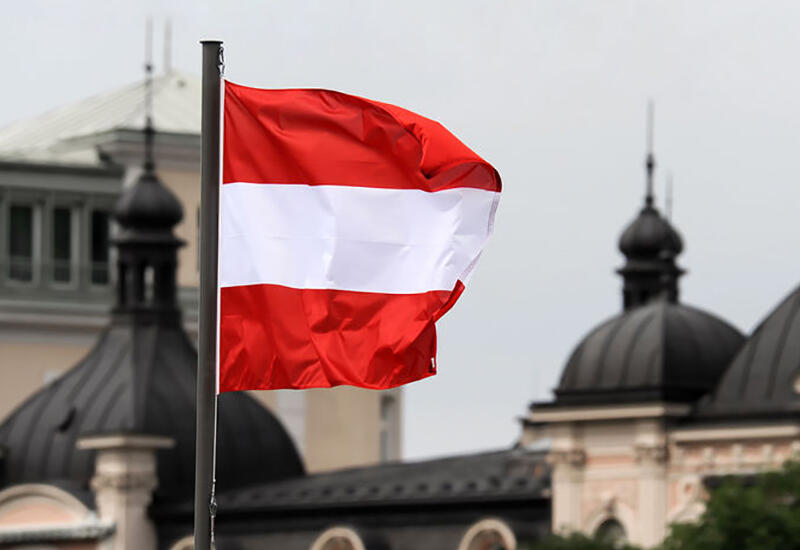 Австрия возобновила финансирование БАПОР