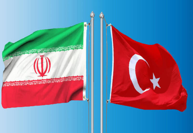 Вице-президент и глава МИД Турции посетят Иран