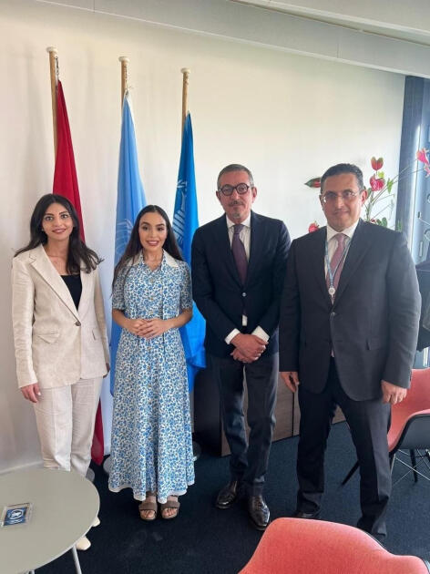 Вице-президент Фонда Гейдара Алиева Лейла Алиева провела встречи в офисе ООН в Швейцарии