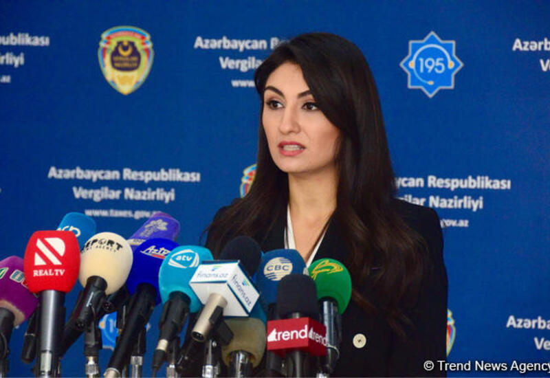 В Азербайджане могут быть введены экологические налоги