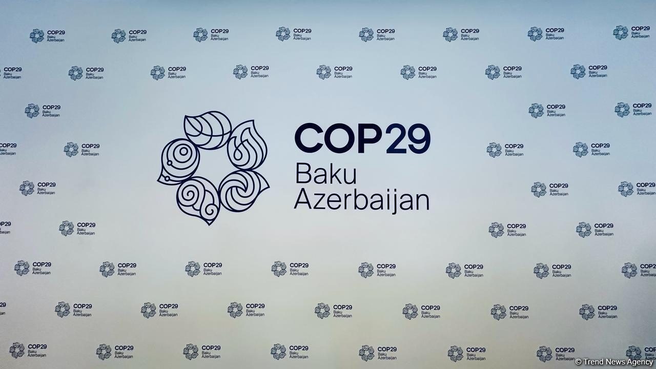 В Токио обсудили подготовку к COP29