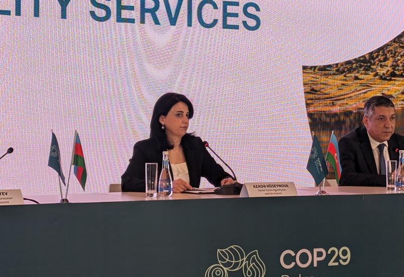 В Азербайджане начаты работы по проведению профессиональных тренингов для сотрудников отелей в рамках подготовки к COP29