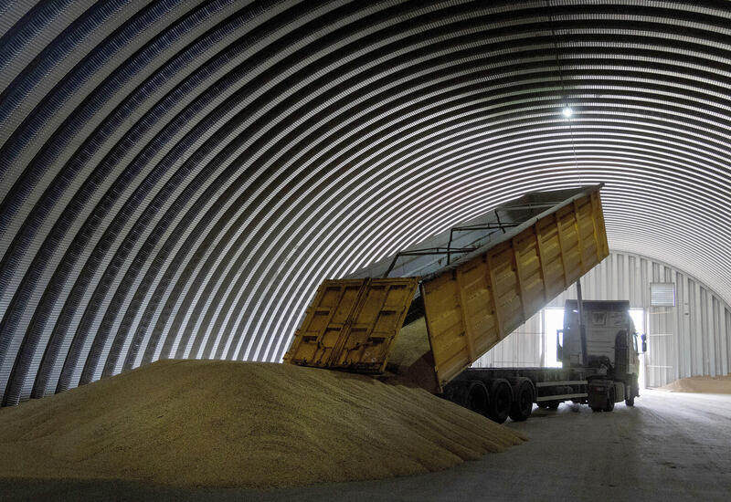 Евросоюз утвердил решение о пошлинах на зерно из России и Беларуси