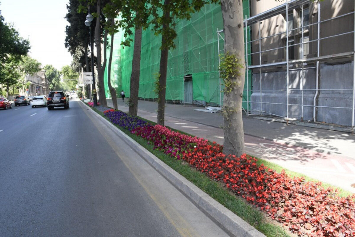 В Баку построят 10 мегапарков