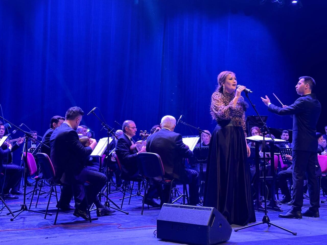 В Гянджинской государственной филармонии прошел концерт в честь 90-летия Союза композиторов Азербайджана