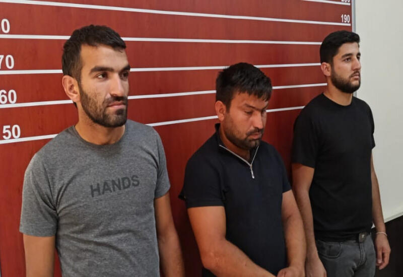 В Гаджигабуле задержана банда, совершившая кражу с шести ферм
