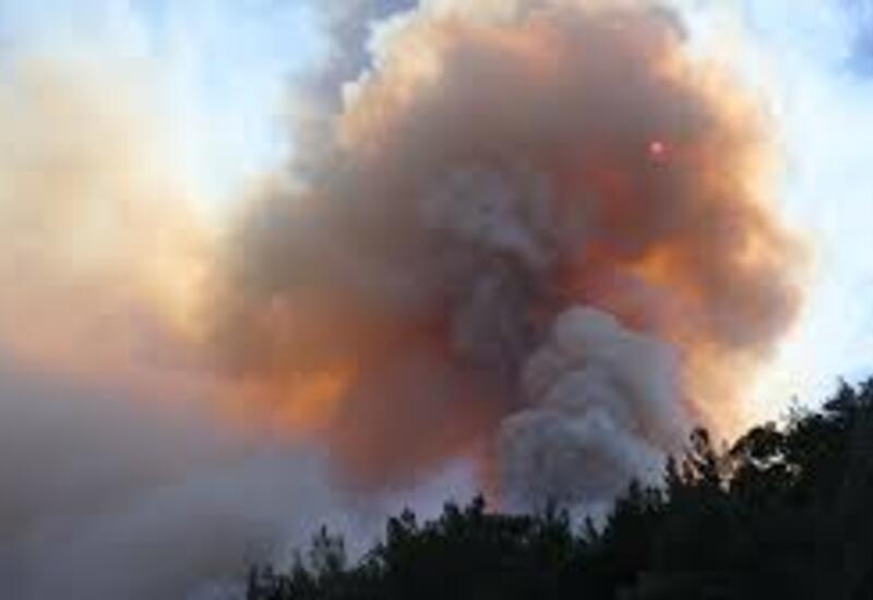 Масштабные лесные пожары в Турции
