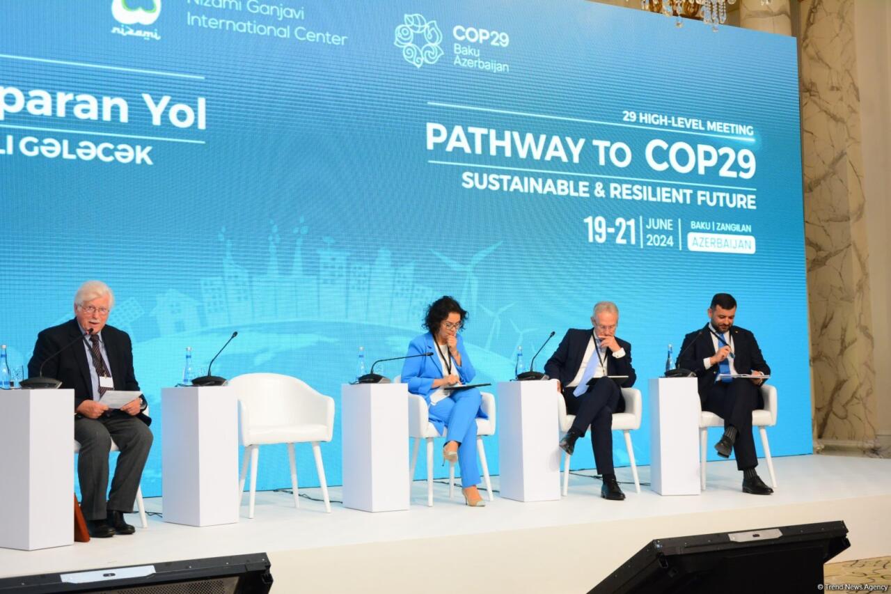 В Баку прошла панельная дискуссия в рамках заседания в связи с COP29