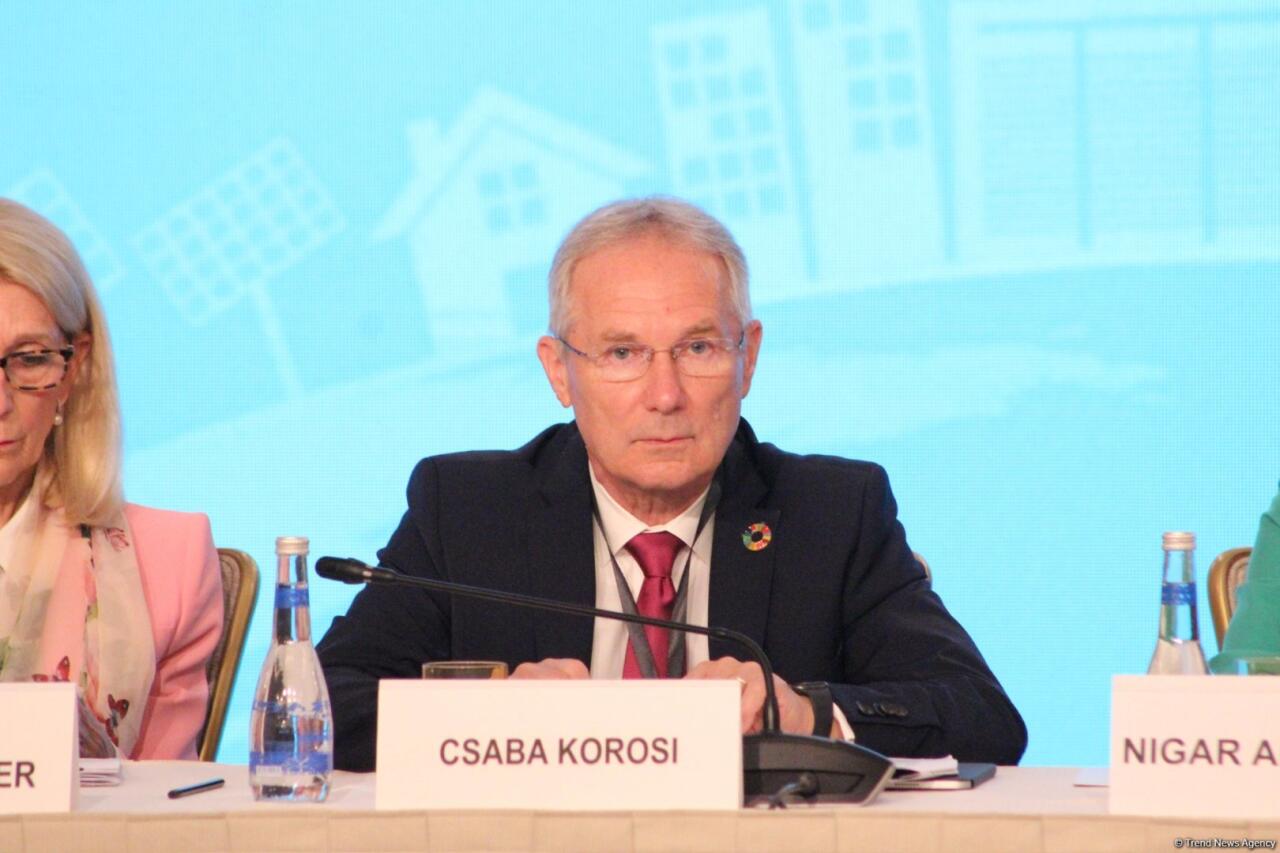 В Баку завершился 2-й день заседания высокого уровня "Дорога к COP29: устойчивое и прочное будущее"