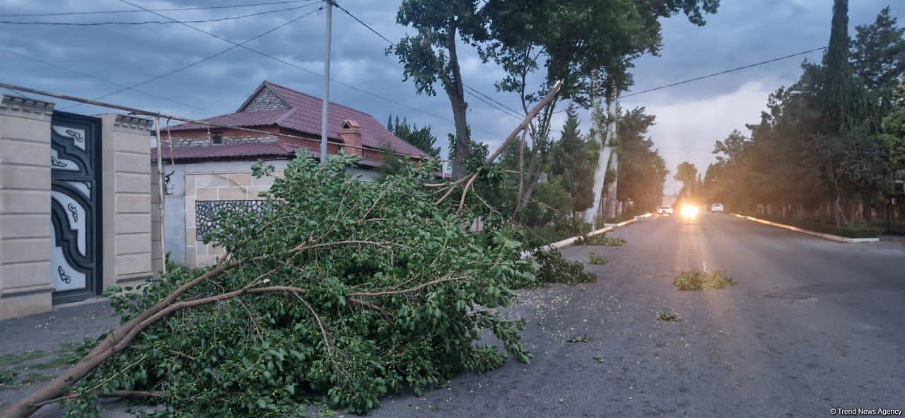 Güclü külək elektrik enerjisi təsərrüfatlarına ziyan vurub