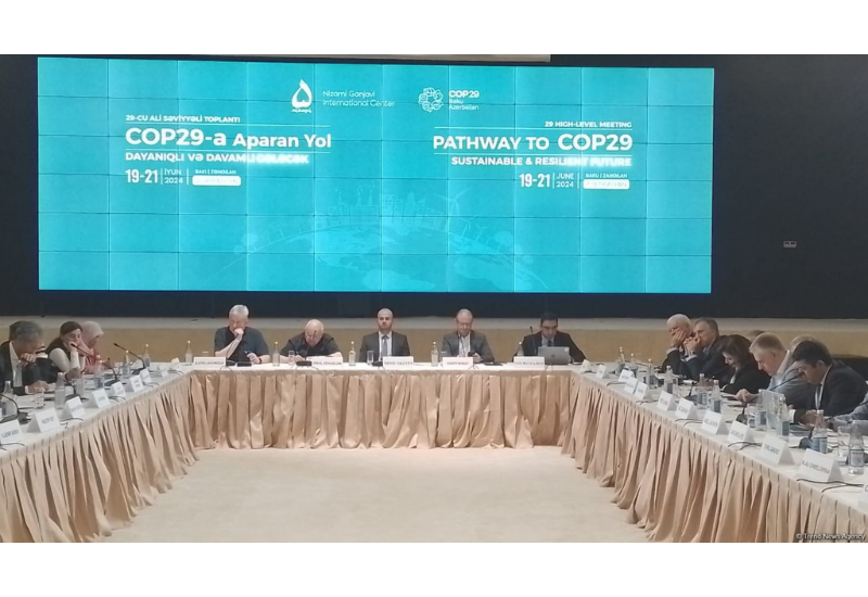 Заседание высокого уровня "Дорога к COP29: устойчивое и прочное будущее" в Зангилане