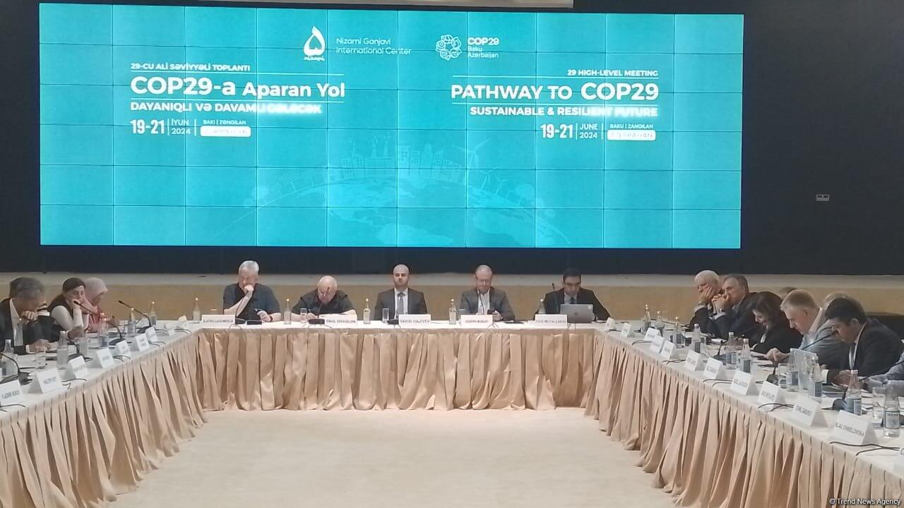 Заседание высокого уровня "Дорога к COP29: устойчивое и прочное будущее" в Зангилане