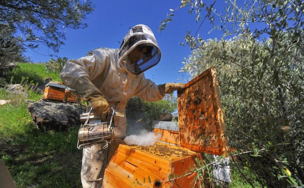 Проливные дожди во Франции: пчеловоды недовольны, в Краоне наводнение