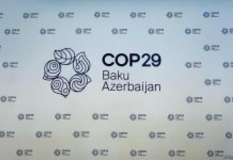 Азербайджан благодарит США за поддержку в рамках COP29