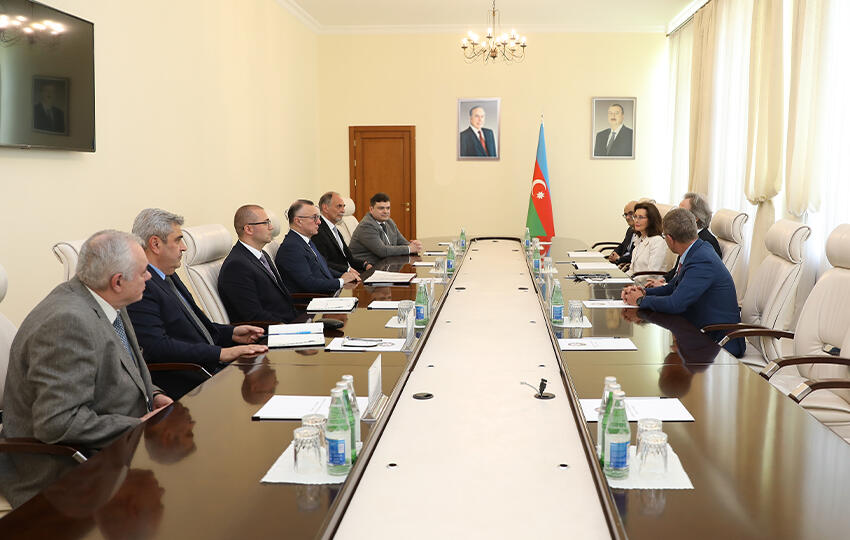 Теймур Мусаев встретился с президентом Европейского общества кардиологов