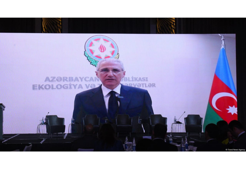 Президент COP29 обратился к участникам ESG summit в Баку