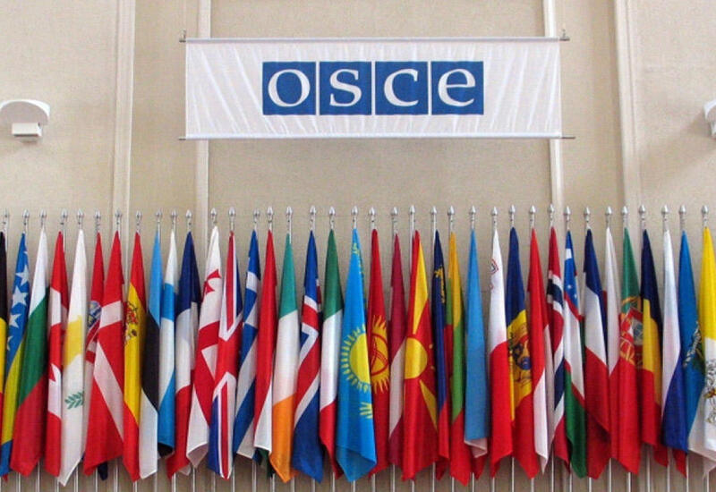 Россия приостанавливает участие в ПА ОБСЕ