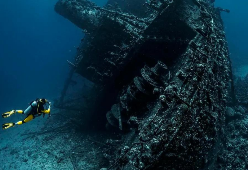 Затонувшие во времена Второй мировой войны корабли стали угрожать живым организмам