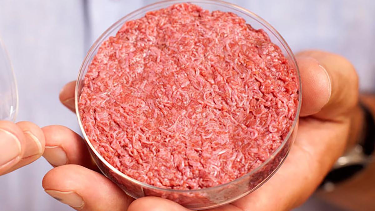 Великобритания первая в Европе одобрит продажу искусственного мяса для питомцев