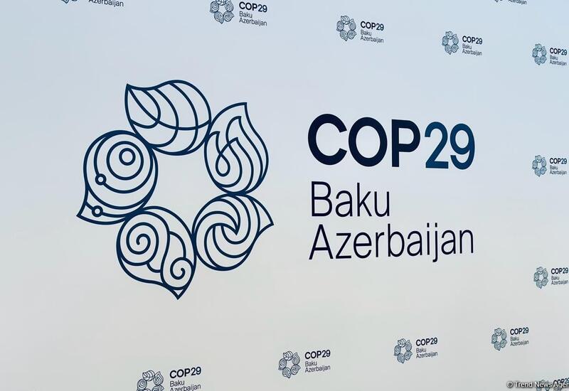 Активизировались мероприятия на разных уровнях в преддверии COP29