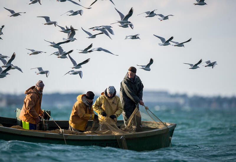 ЕС намерен получить доступ к британским рыболовецким водам