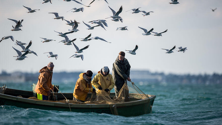 ЕС намерен получить доступ к британским рыболовецким водам