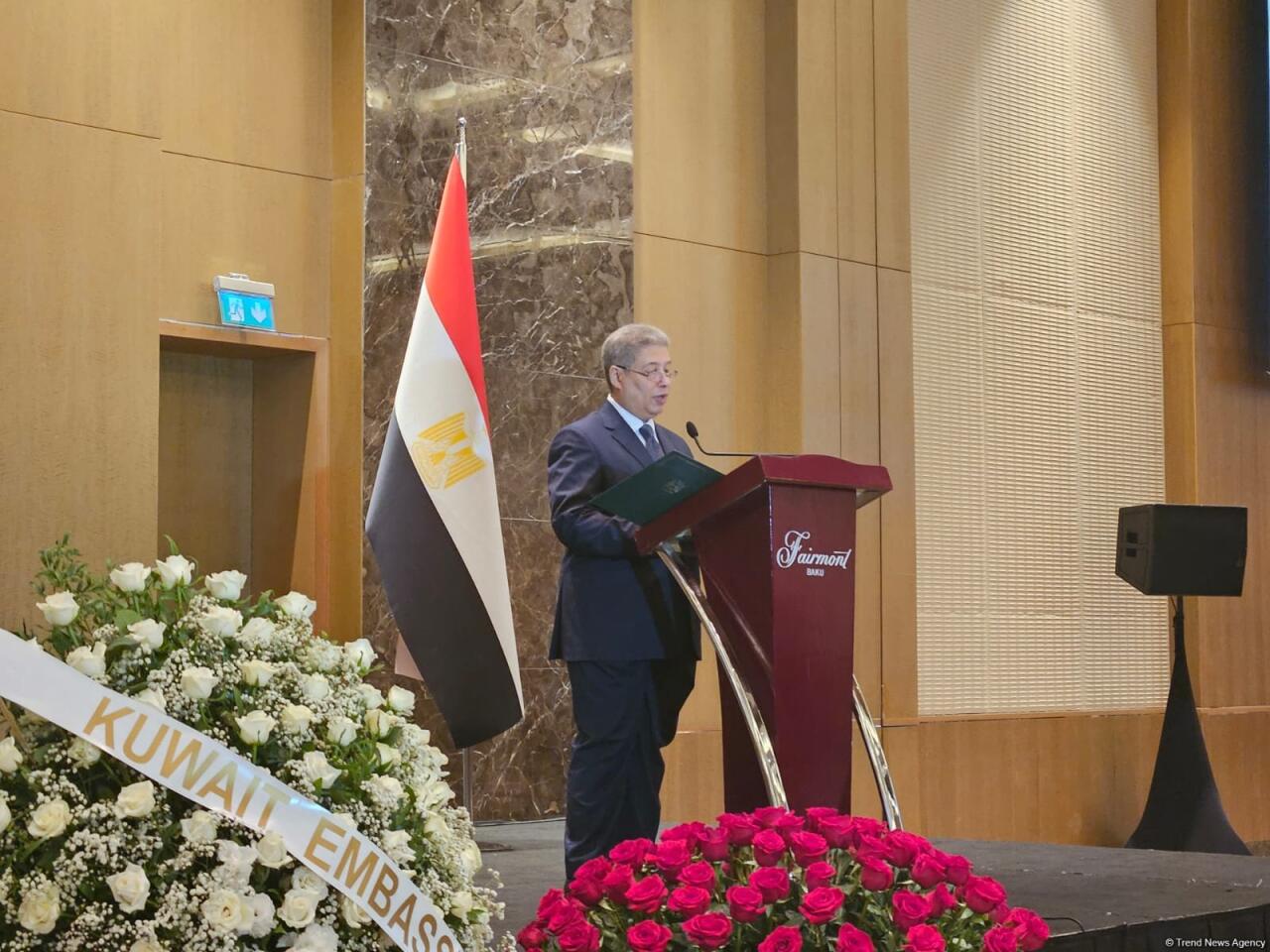 Египет готов к сотрудничеству с Азербайджаном в рамках СОР29