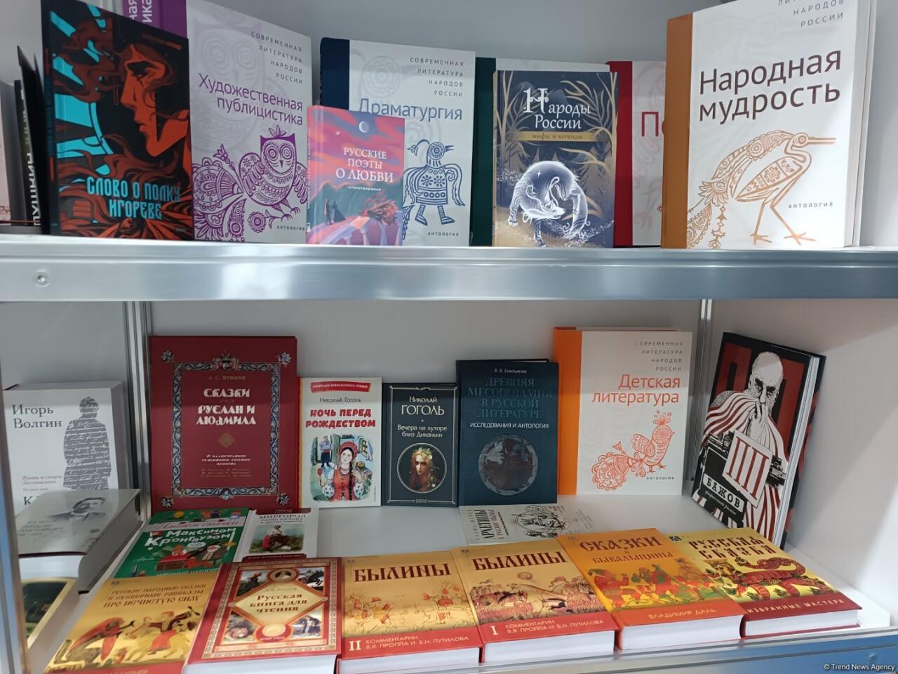 Российский национальный стенд представлен на X Бакинской международной книжной выставке