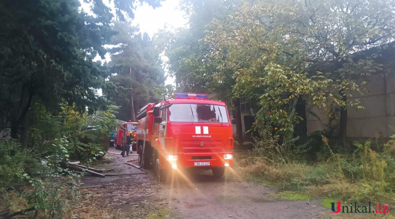 Сильный пожар на винном заводе Азербайджана