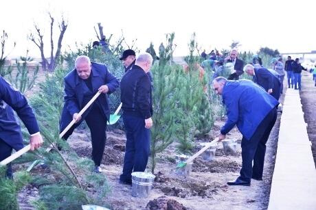 Жители Гарадагского района смогут дышать более чистым воздухом