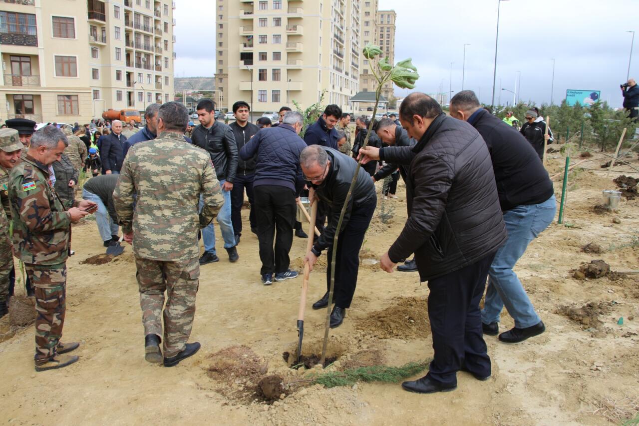 Səbail rayonunda "Yaşıl dünya naminə həmrəylik ili" çərçivəsində növbəti ağacəkmə aksiyası keçirilib