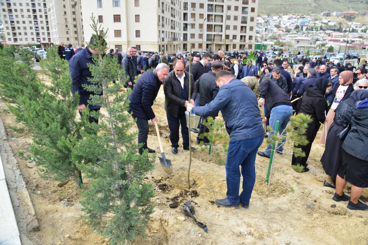 Səbail rayonunda "Yaşıl dünya naminə həmrəylik ili" çərçivəsində növbəti ağacəkmə aksiyası keçirilib