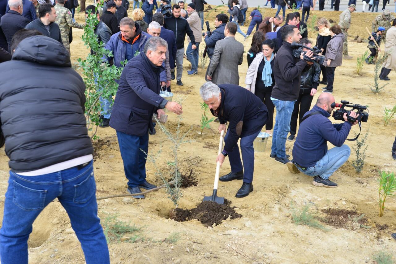 Səbail rayonunda "Yaşıl dünya naminə həmrəylik ili" çərçivəsində növbəti ağacəkmə aksiyası keçirilib