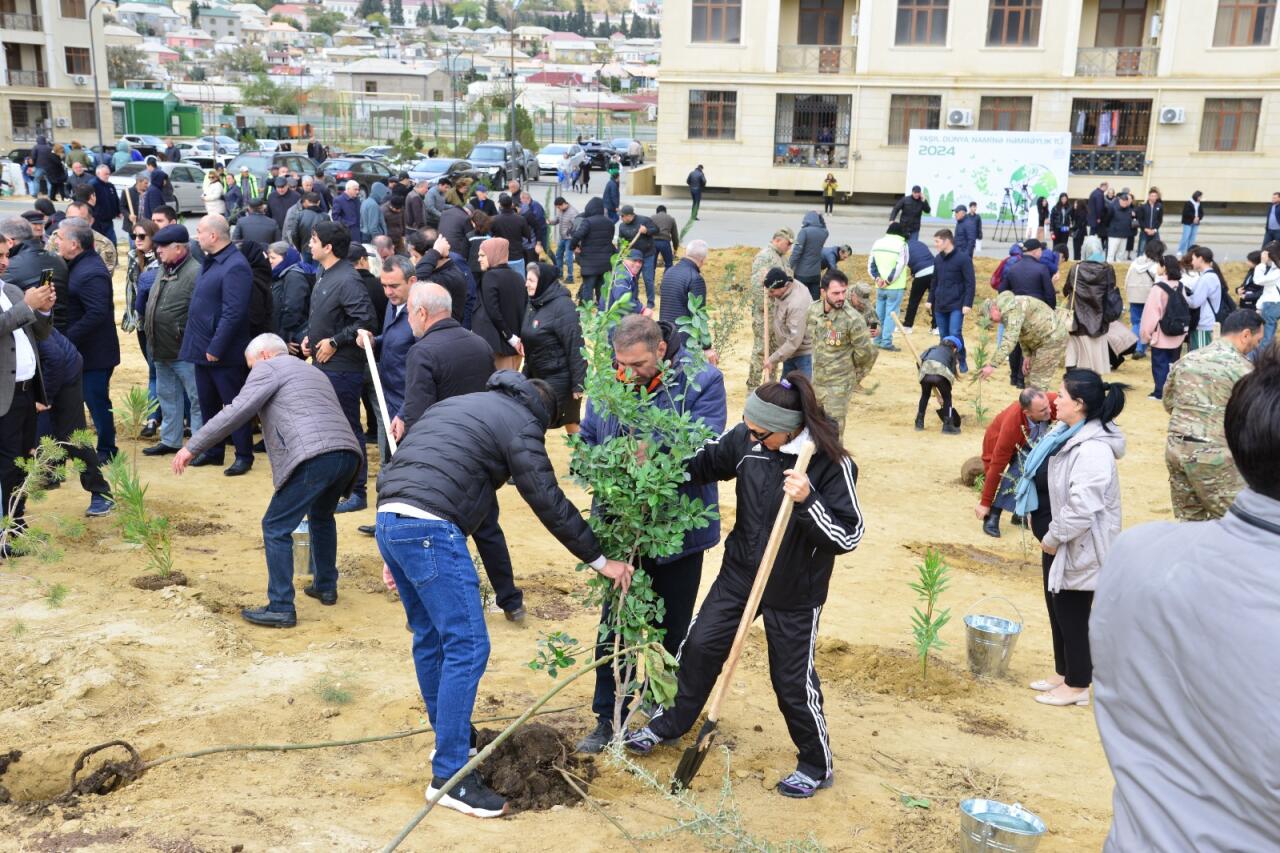 Səbail rayonunda "Yaşıl dünya naminə həmrəylik ili" çərçivəsində növbəti ağacəkmə aksiyası keçirilib