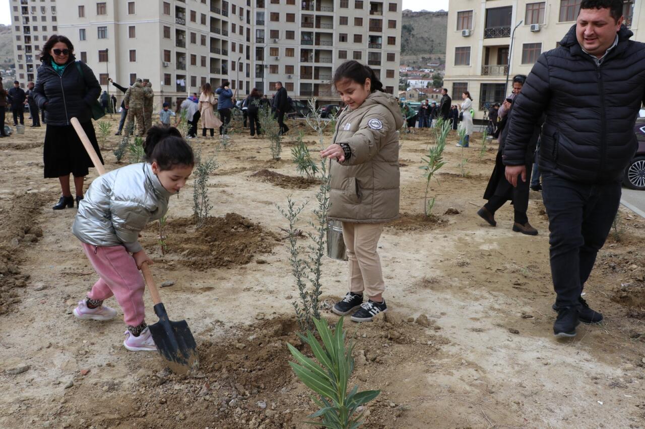 Səbail rayonunda "Yaşıl dünya naminə həmrəylik ili" çərçivəsində növbəti ağacəkmə aksiyası keçirilib