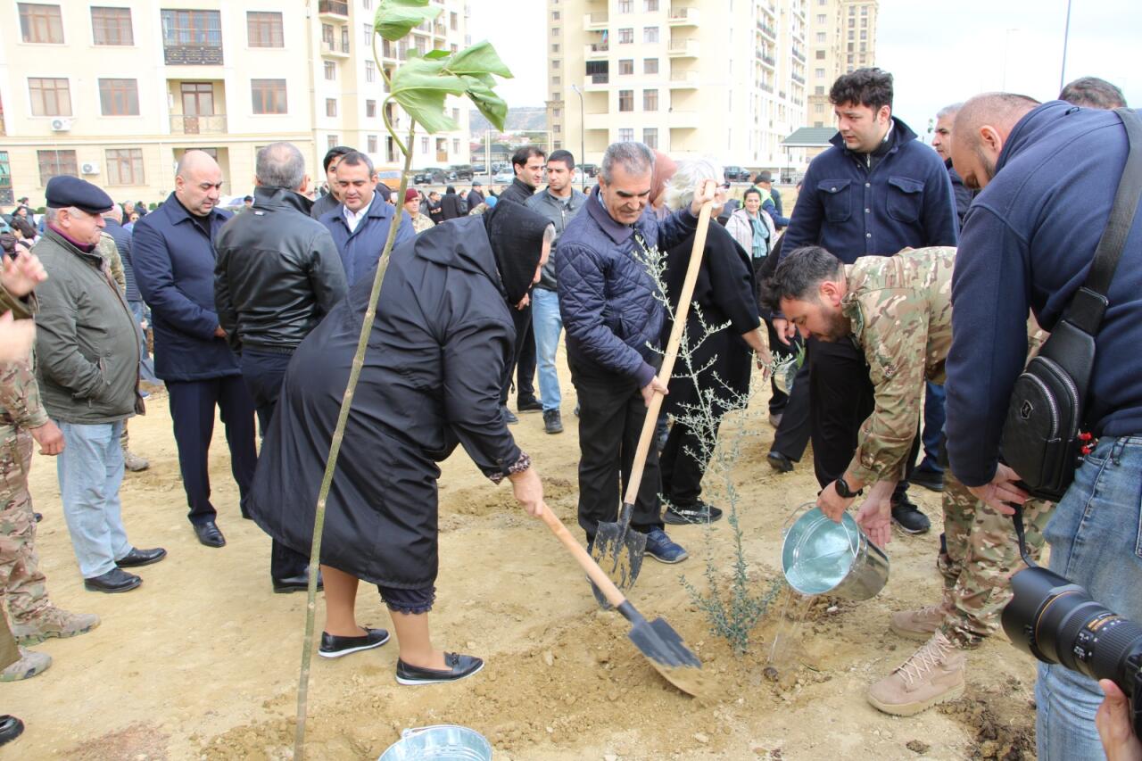 Səbail rayonunda "Yaşıl dünya naminə həmrəylik ili" çərçivəsində növbəti ağacəkmə aksiyası keçirilib