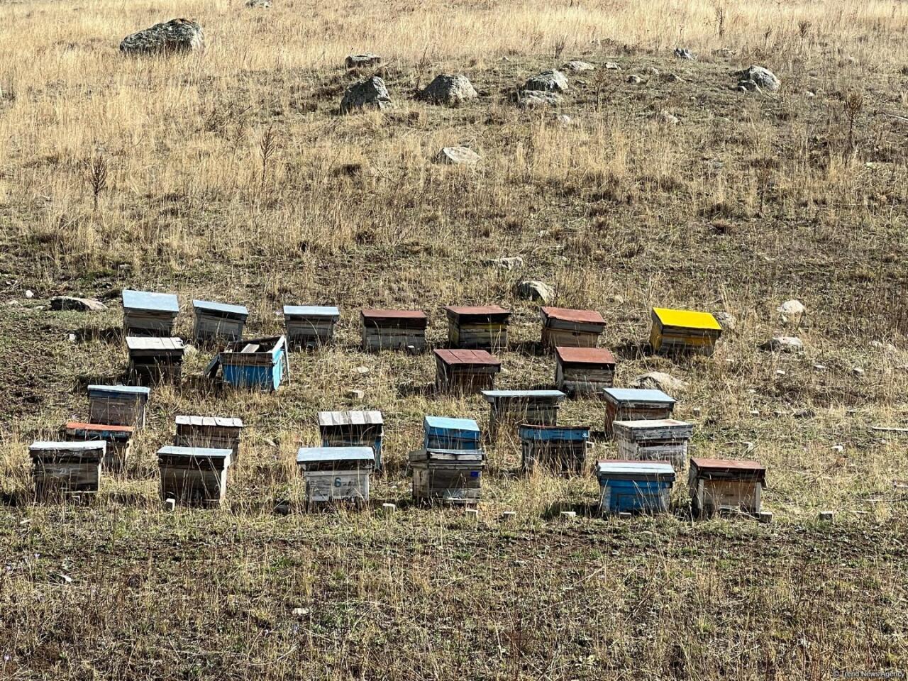 Чарующие виды Батабатского плато