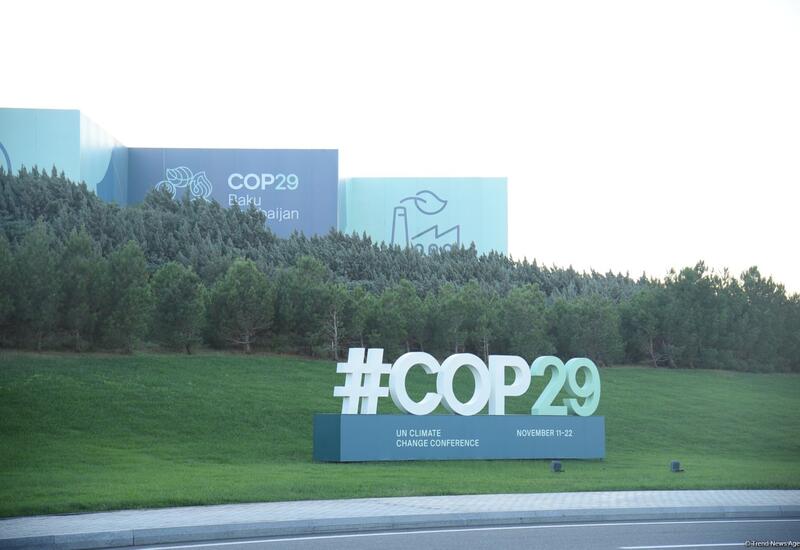 Минздрав об уровне подготовки к проведению COP29