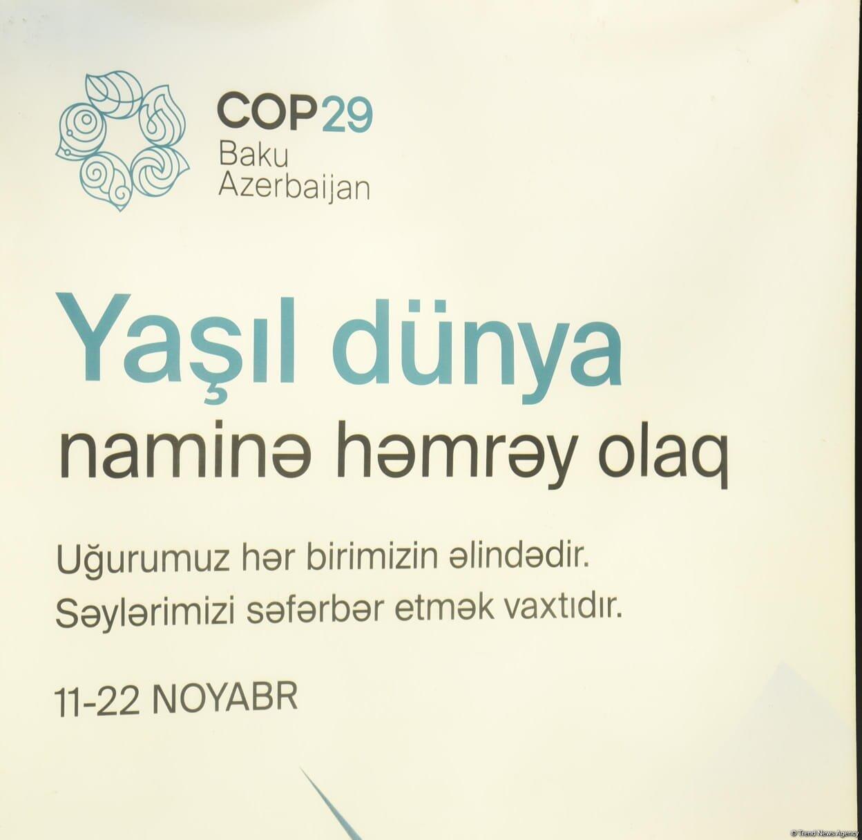 Баку в преддверии COP29