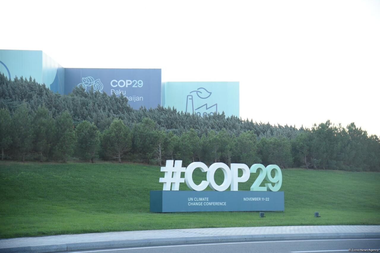 Баку в преддверии COP29