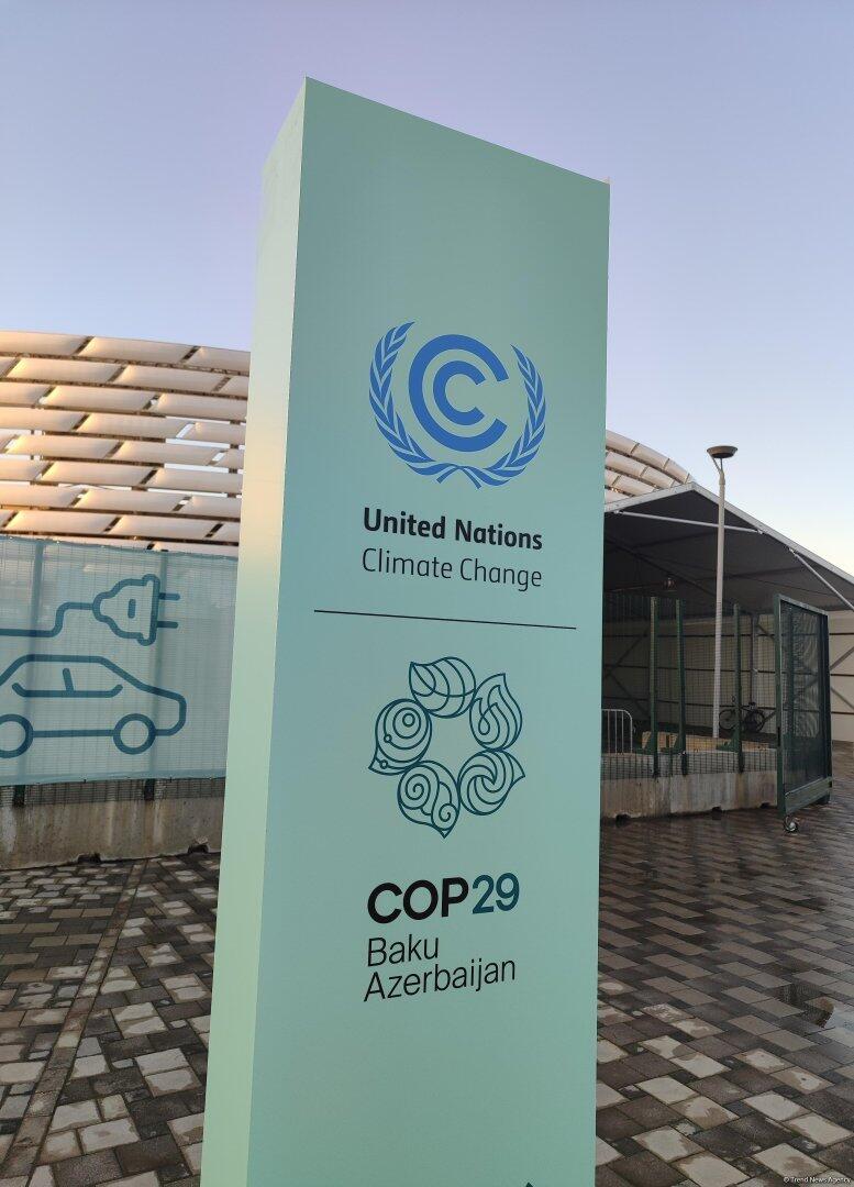 Баку в преддверии COP29