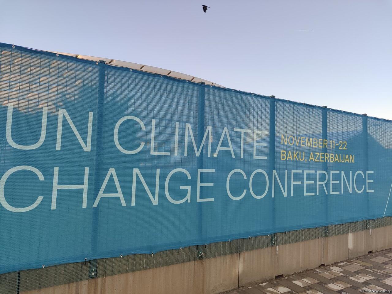 Баку в преддверии COP29