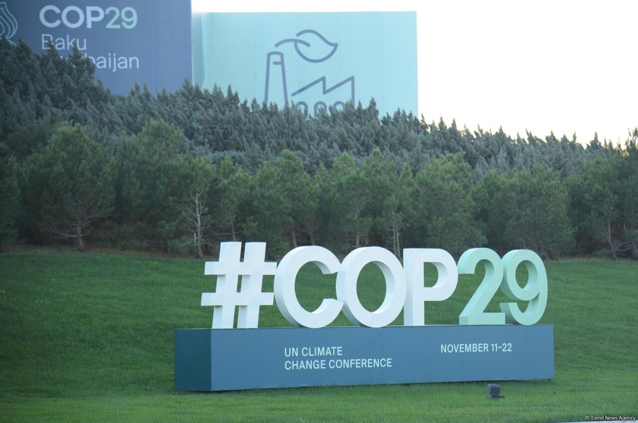 Баку в преддверии COP29