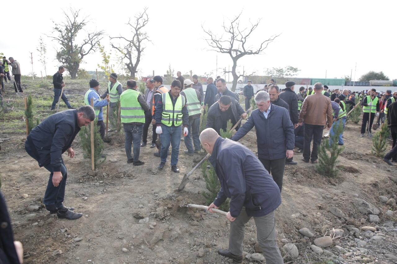 Xaçmazın Xanoba kəndində “Yaşıl dünya naminə həmrəylik ili” çərçivəsində ağacəkmə aksiyası keçirilib